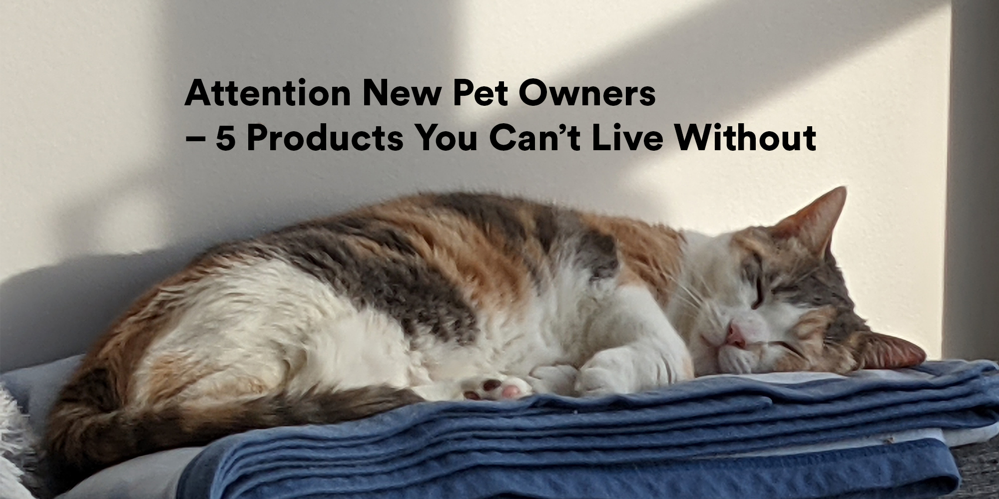 Attention New Pet Owners – 5 Products You Can’t Live Without - Flipp Tipps