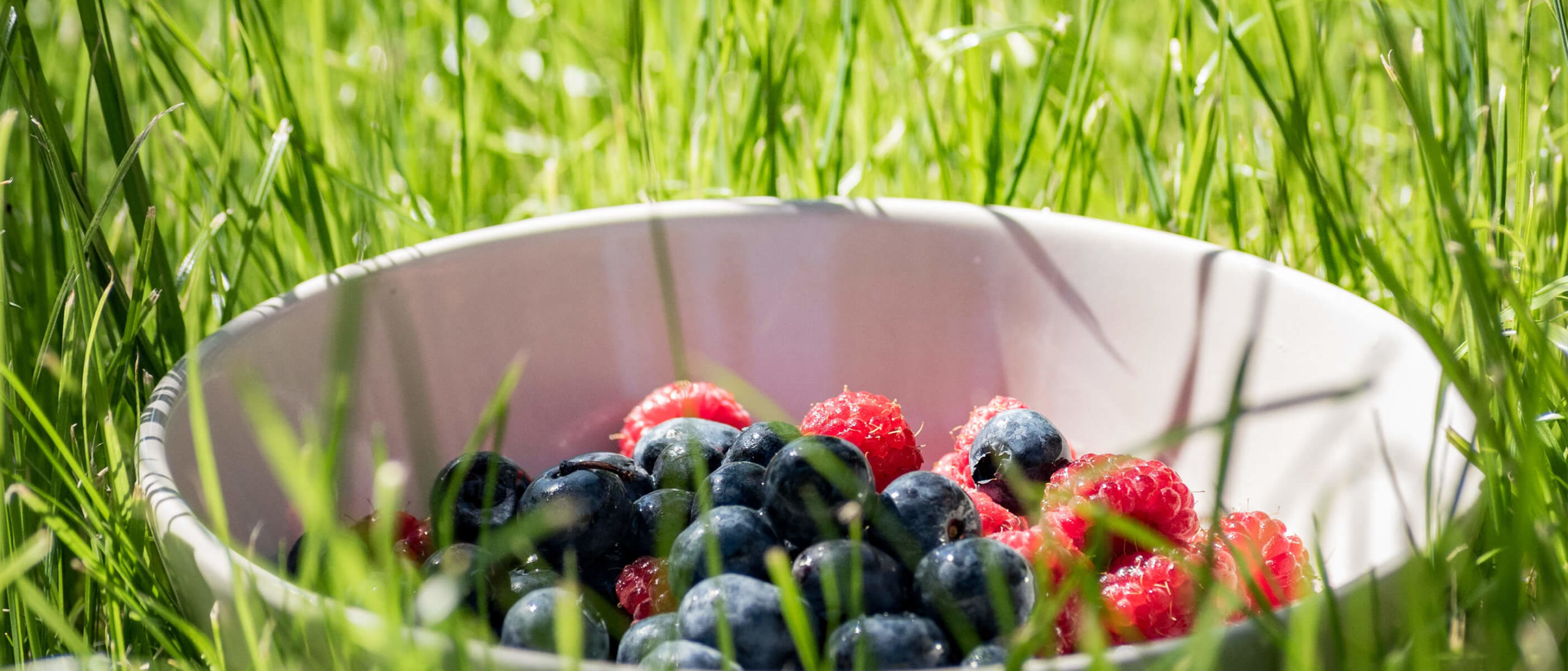 Have a Berry Good Summer With These Delicious Recipes