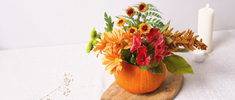 Header image of pumpkin vase with fall flowers