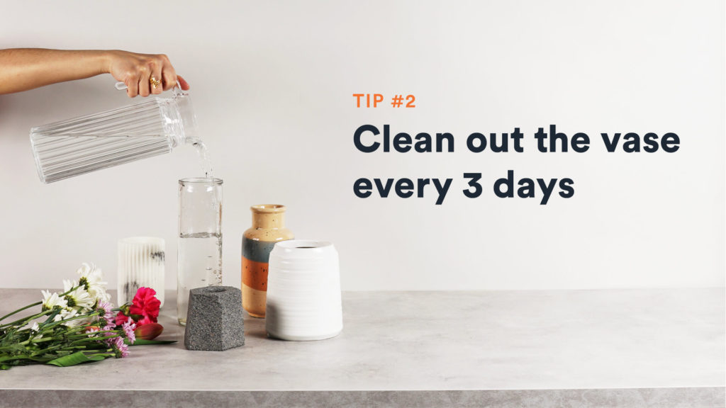 Clean out the vase every 3 days