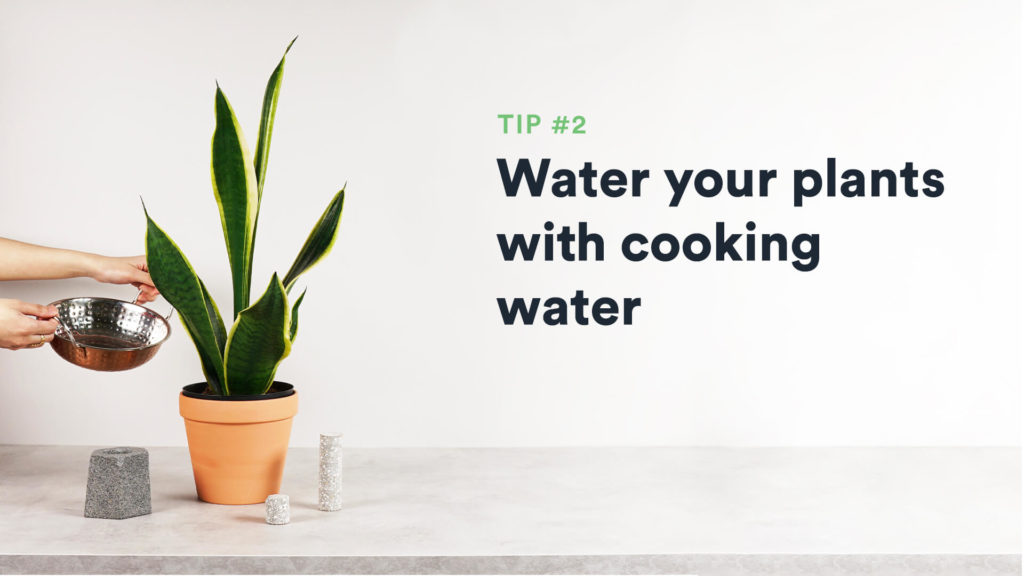 water your plants with cooking water